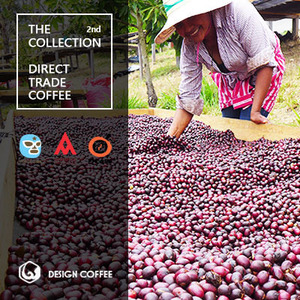 다이렉트 커피컬렉션 Direct Coffee Collection 2014 vol.1